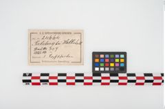 Etikett zu Keramikgefäßfuß (NHMW-PRAE-024664)